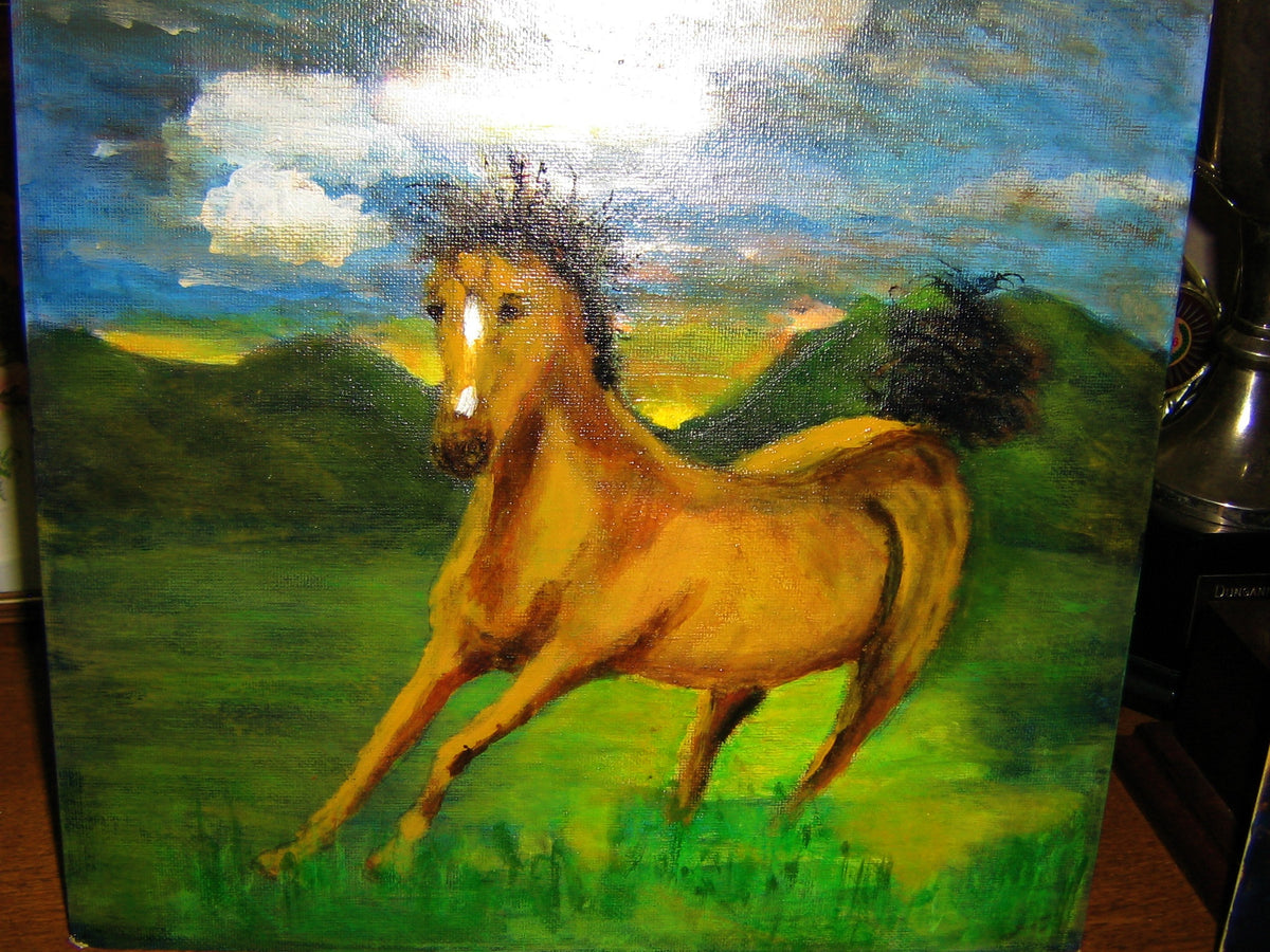 WILD H0RSE  CANVAS PRINT