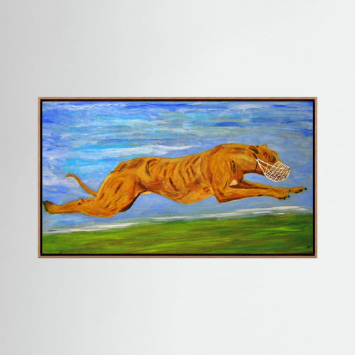 Aeroplane   canvas print